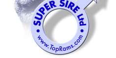 Super Sire